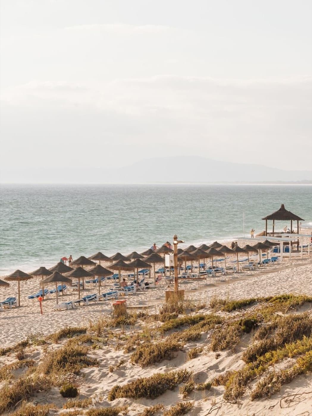 Interior view through curtains toward the pine landscape at Sankofa