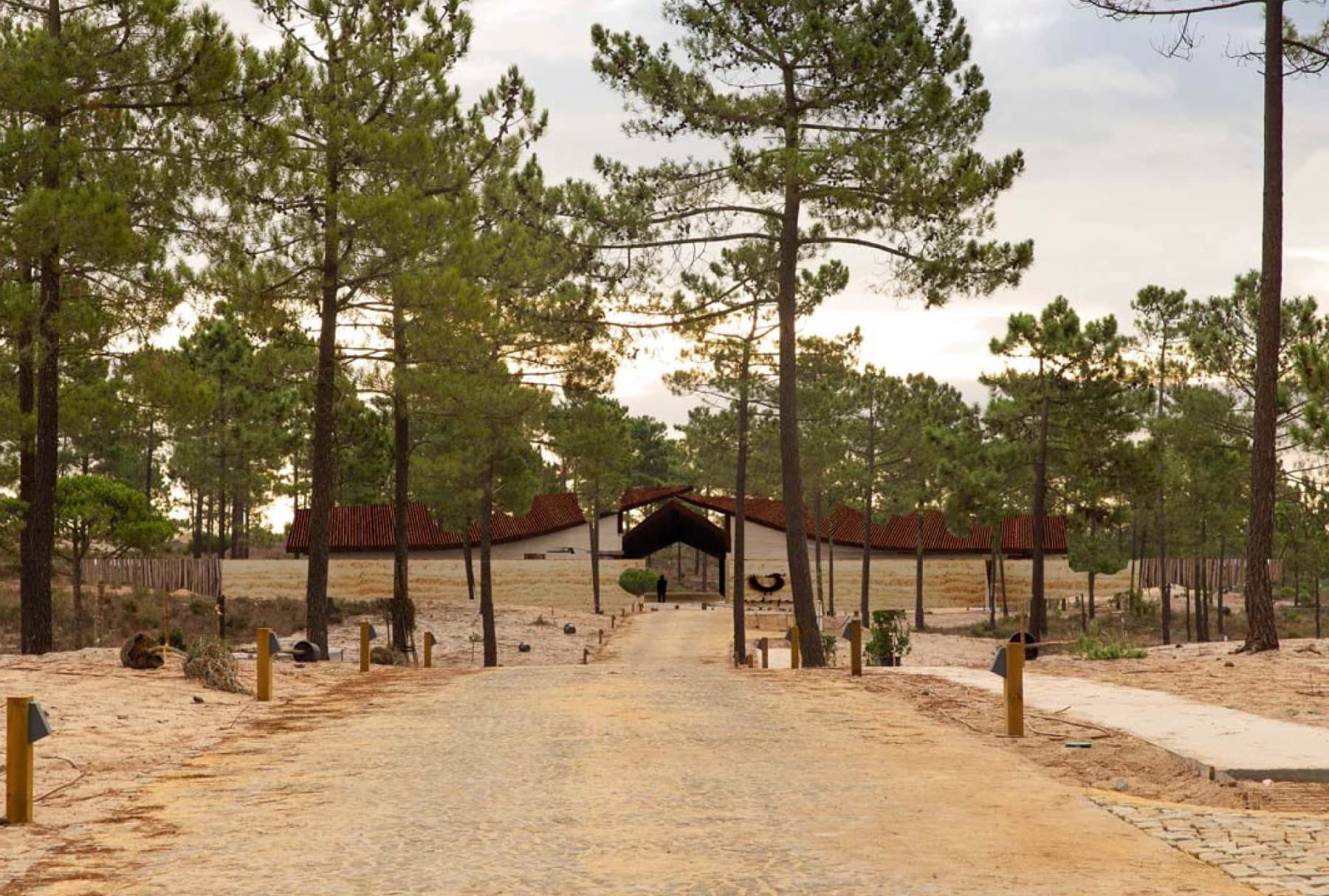 Safari tents at twilight among the trees at Sankofa Nature Resort